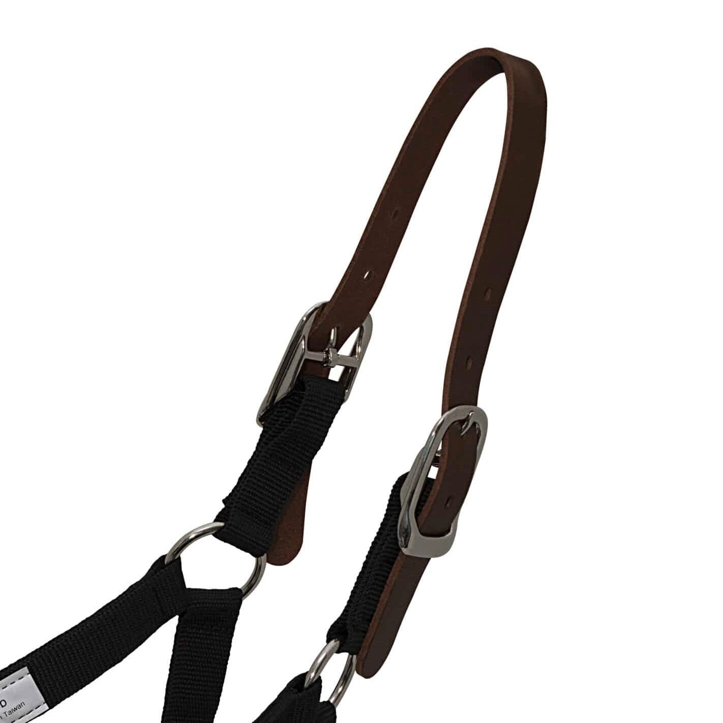 ThinLine Horse Breakaway Halter Replacement Piece for Safe Grazing Muzzle