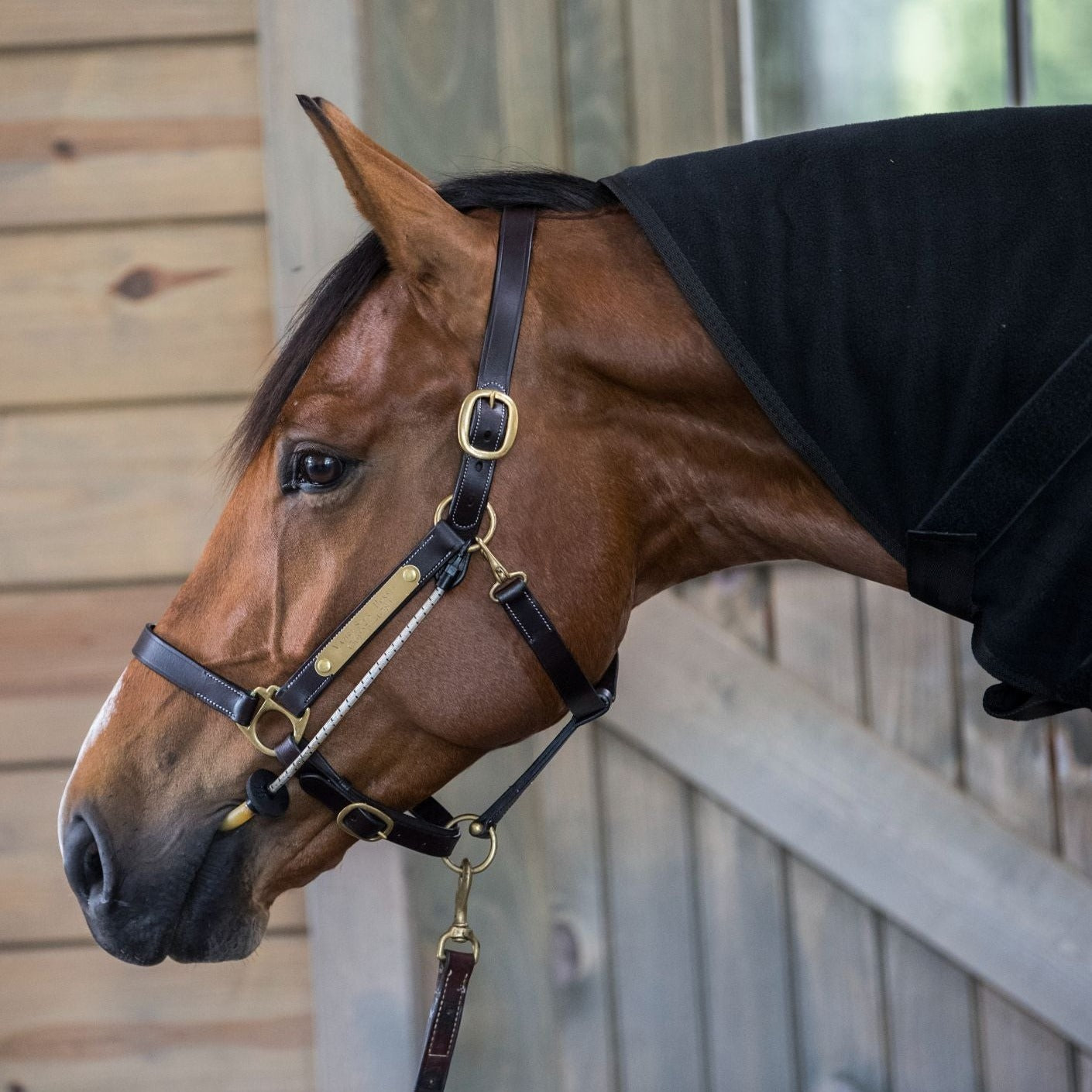 ThinLine Horse Busy Buddy Halter Calmer for Relaxation and Wellbeing
