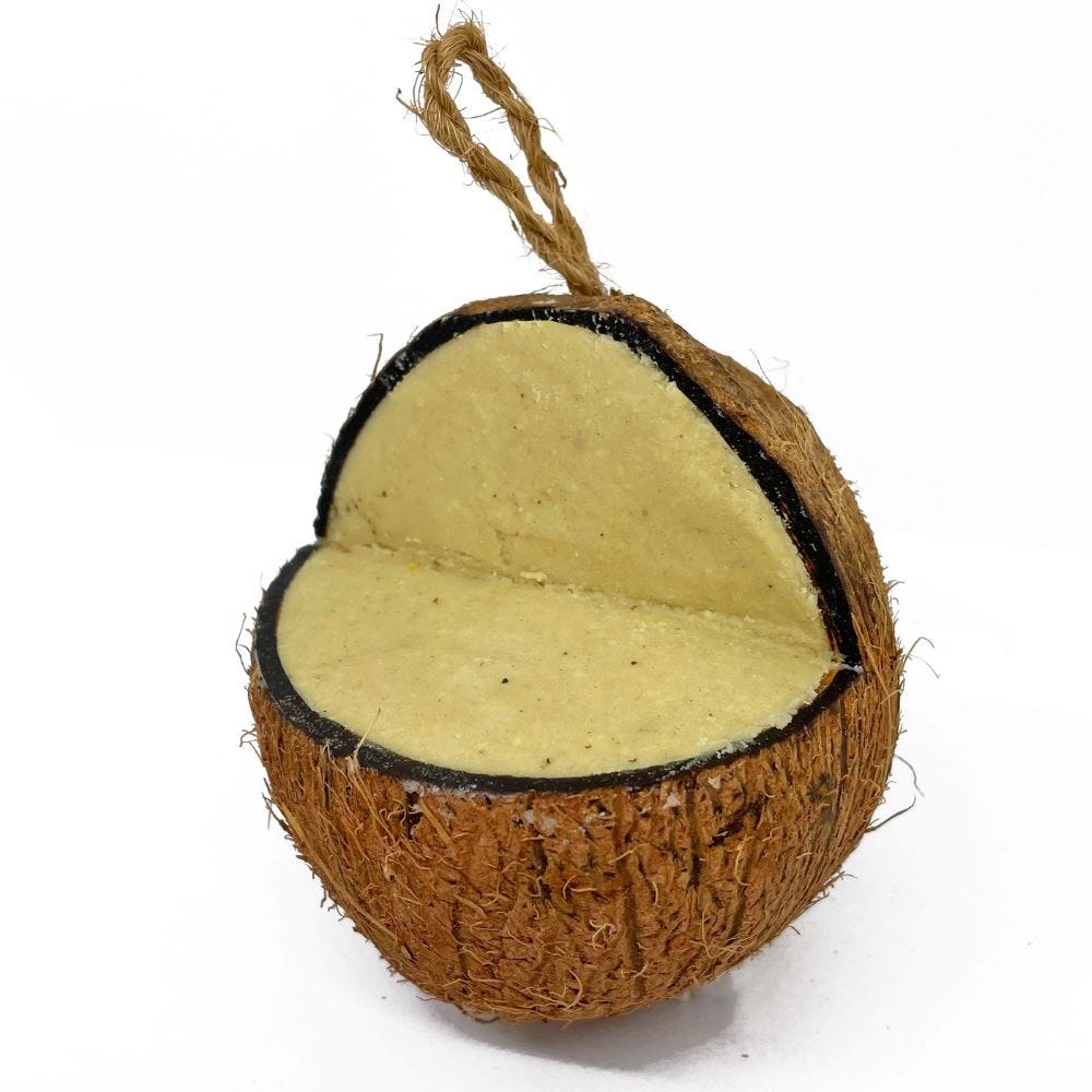 Natures Grub Coconut Feeder 100% Natural Suet Treat for Garden Birds