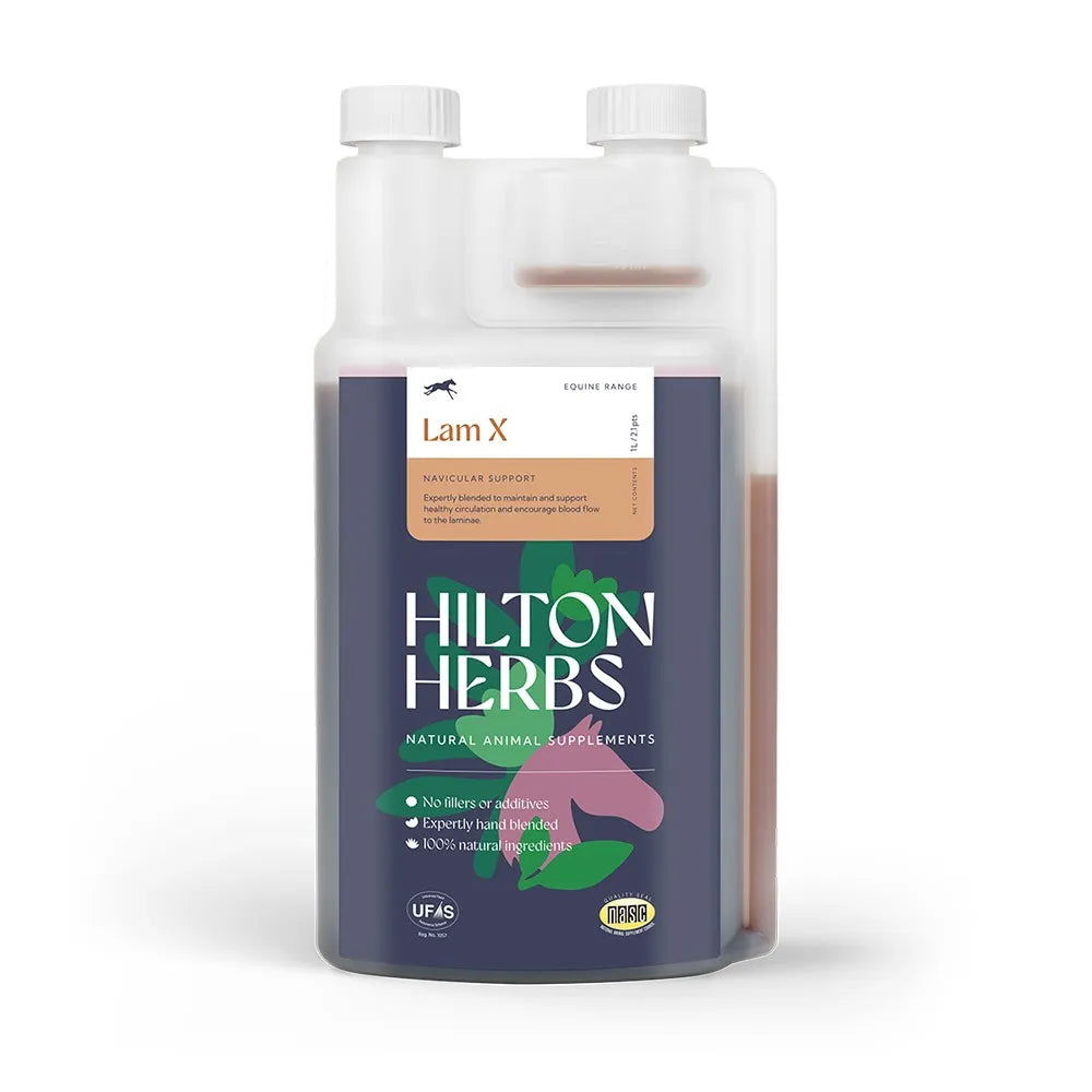 Hilton Herbs Horse Lam X Liquid For Laminitis and Navicular Support