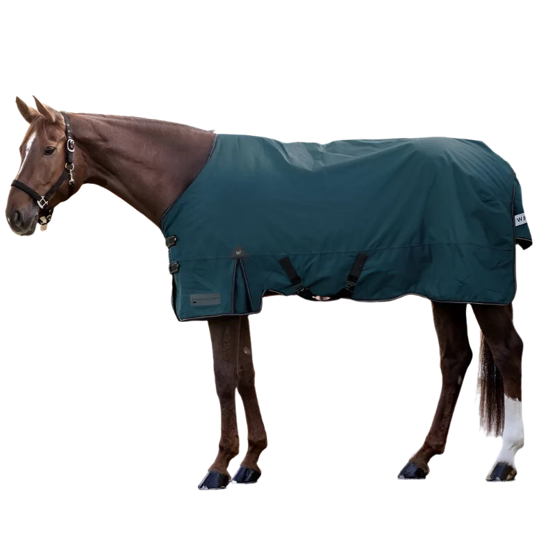 Waldhausen Arctic 200g Turnout Rug #colour_petrol-blue
