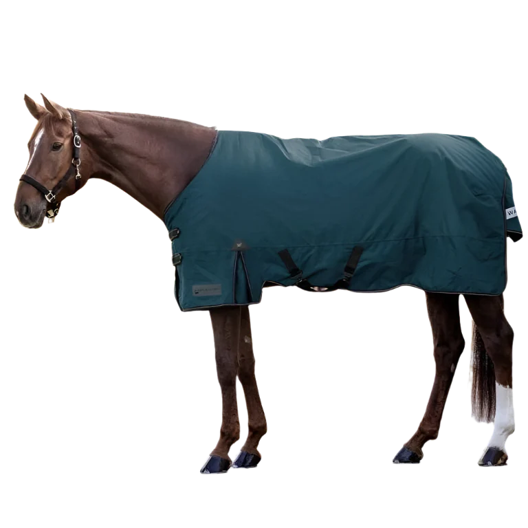 Waldhausen Arctic 300g Turnout Rug #colour_petrol-blue