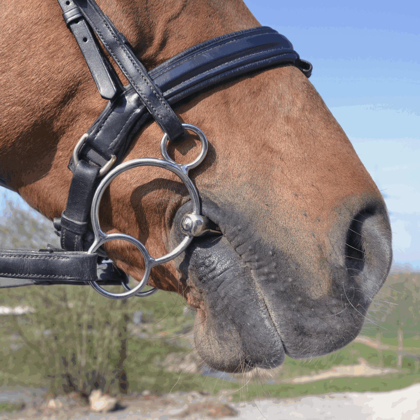 Sprenger Horse KK Ultra Vienna Bit 14mm Sensogan Anatomical Design Tack