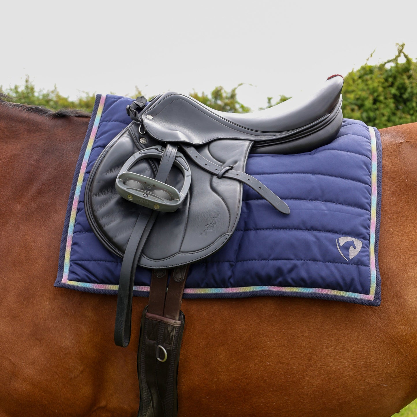 HY Horse Equestrian Mystic Comfort Pad For Horses Extra Cushioning Support