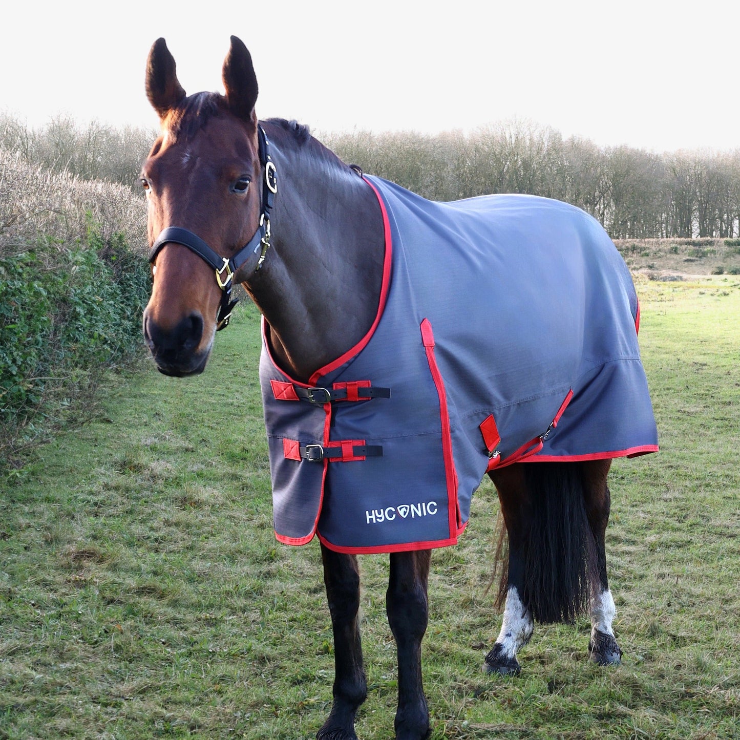 HY Horse HYCONIC 0g Turnout Rug Lightweight Waterproof 600 Denier Fill