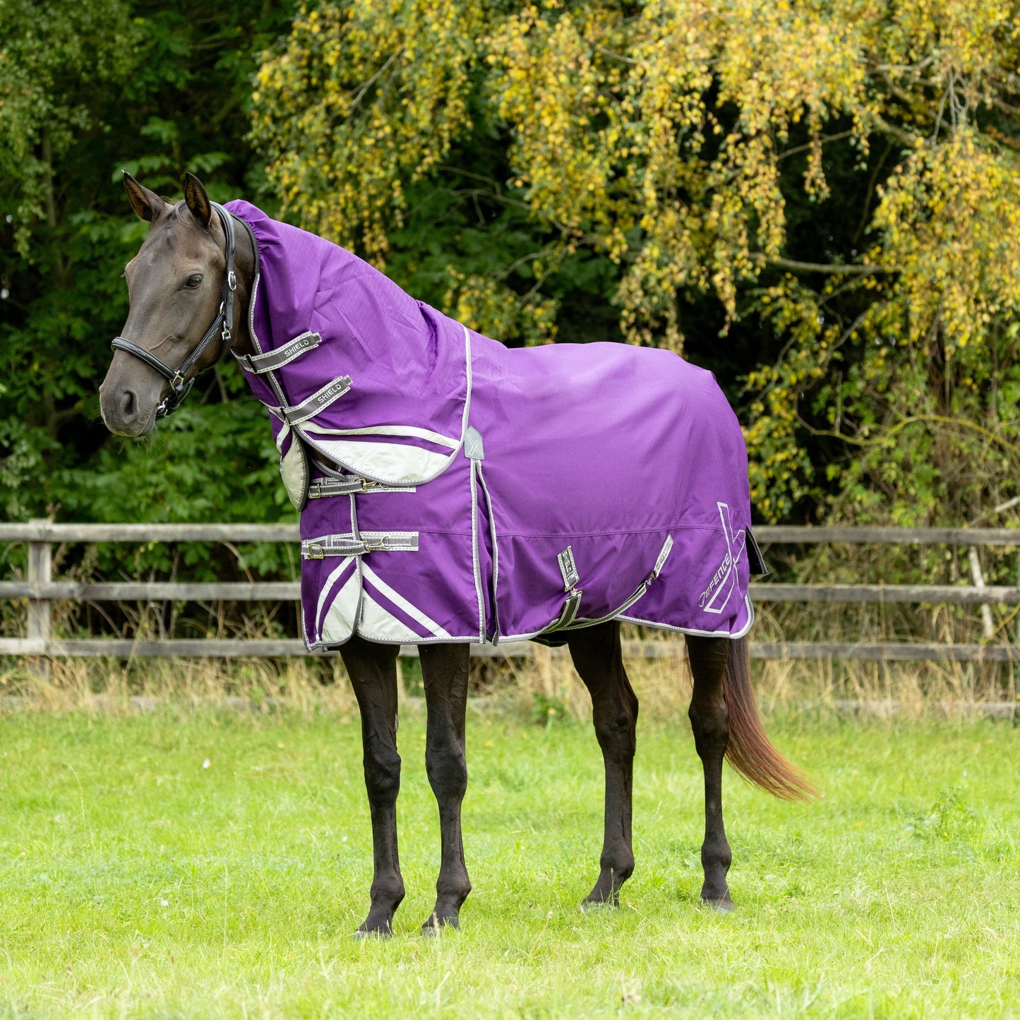 HY Horse DefenceX Shield 300g Turnout Rug With Detachable Neck Waterproof