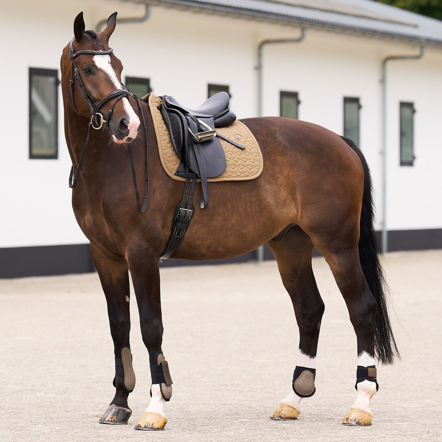 HV Polo Essential Dressage Saddle Pad #colour_straw