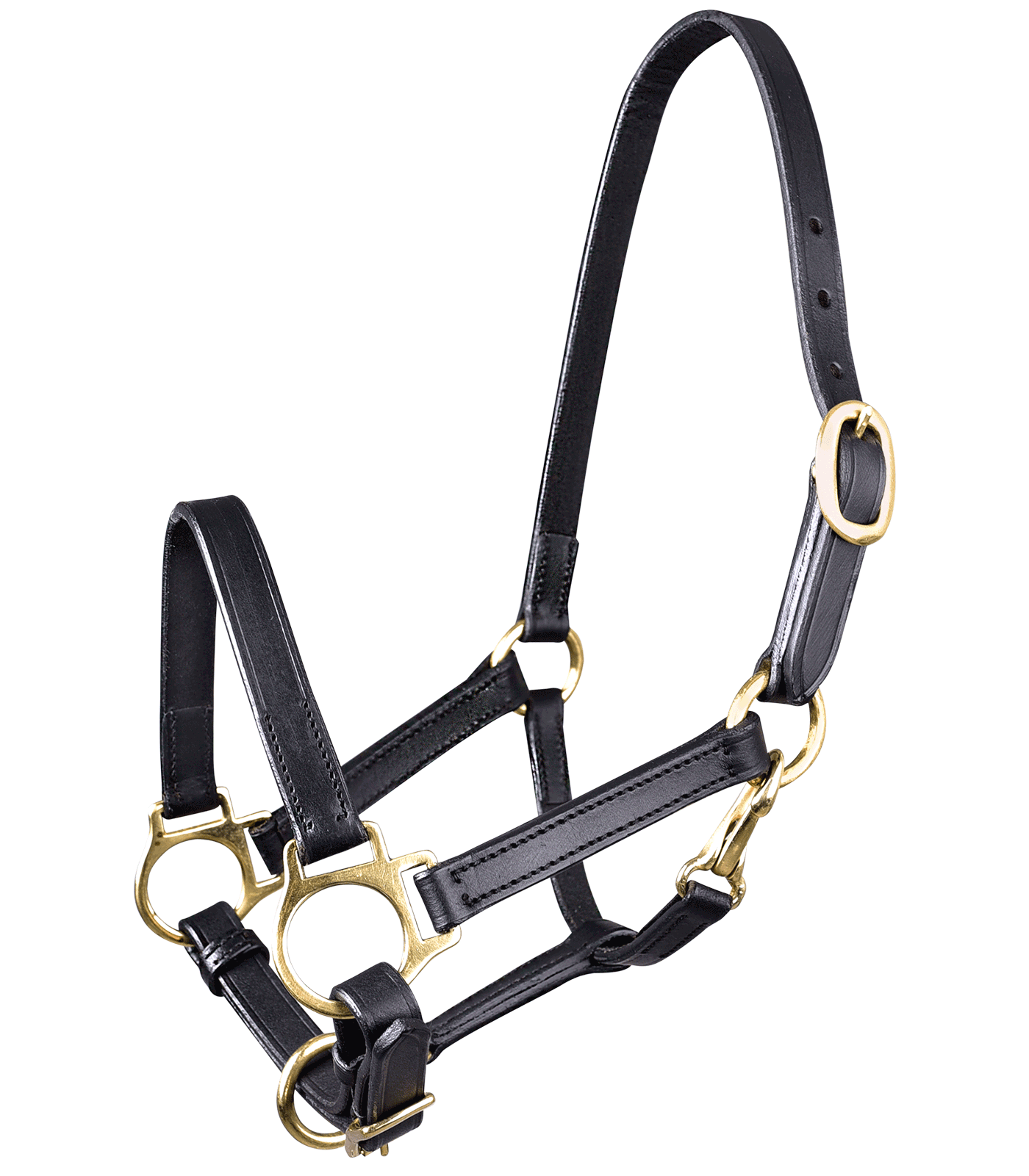 STAR Leather Halter #colour_black