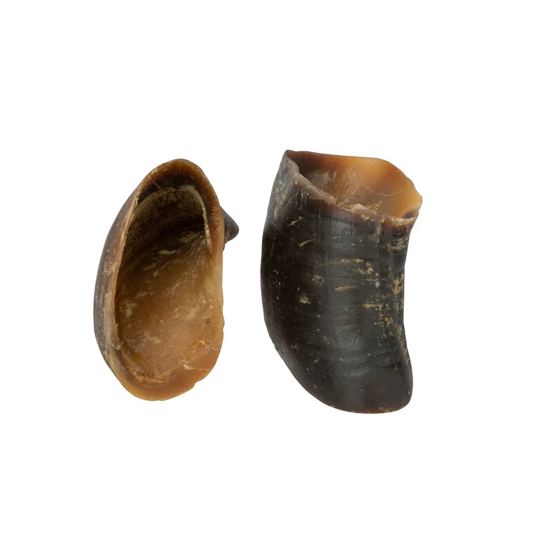 Shires Digby & Fox Buffalo Hoof Chew Treats for Dogs Dental Health