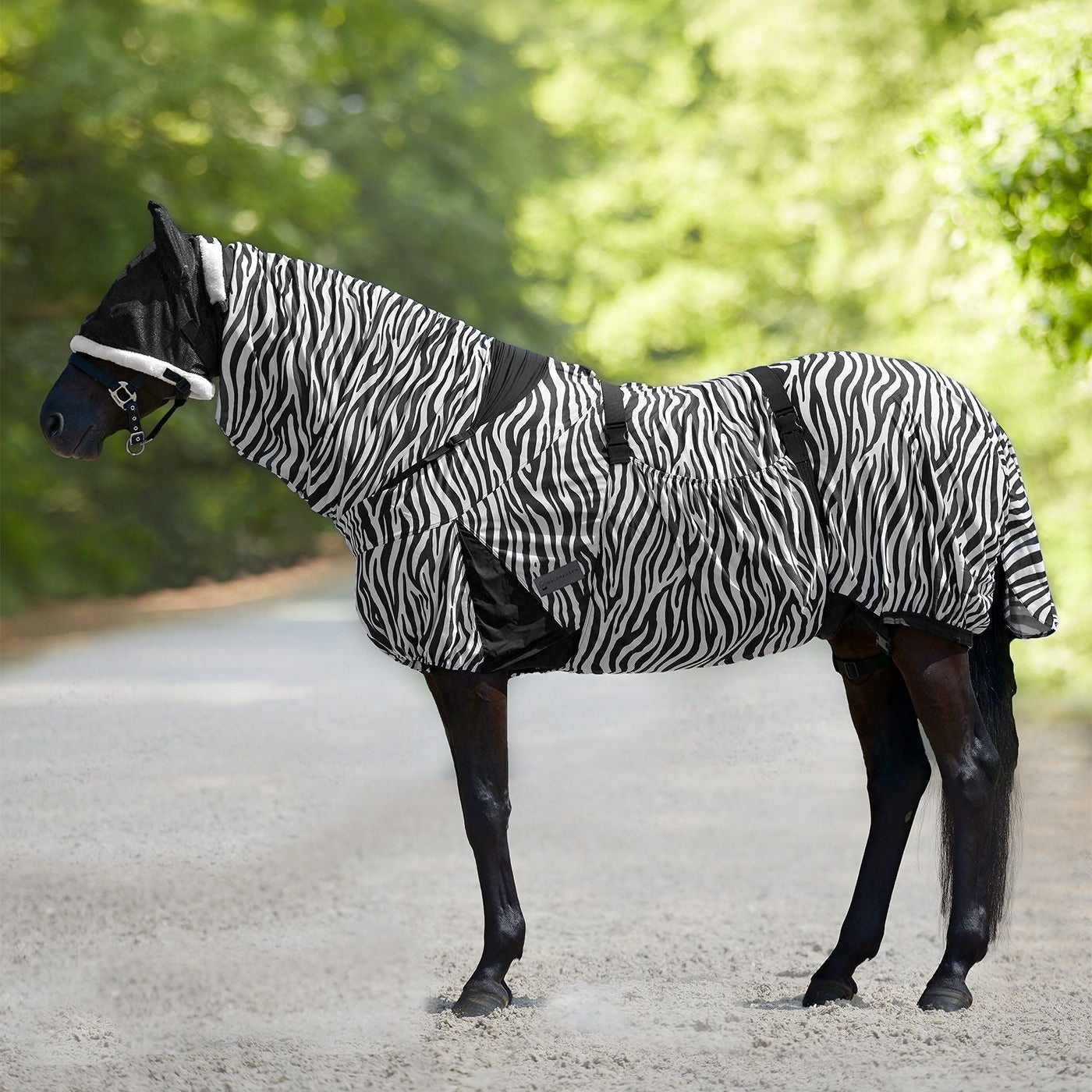 Waldhausen Zebra Eczema Rug #colour_zebra