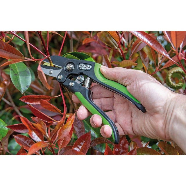 Draper Tools Anvil Pattern Secateurs 200mm Carbon Steel Blades Soft Grip Handle