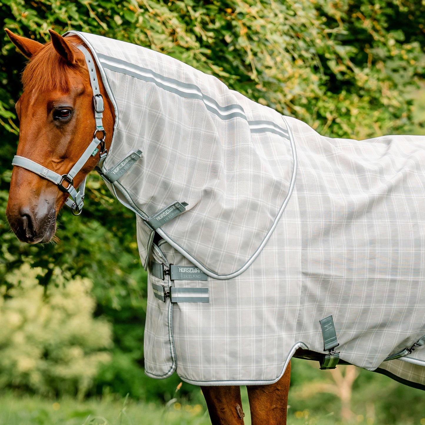 Horseware Ireland Newmarket Fly Sheet Hood #colour_witney-charcoal