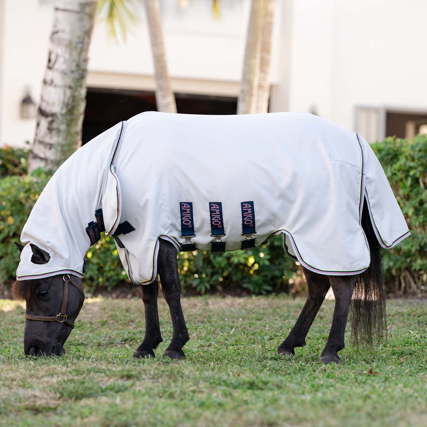 Horseware Ireland Amigo Petite Ripstop Hoody Fly Sheet for Miniature Horses