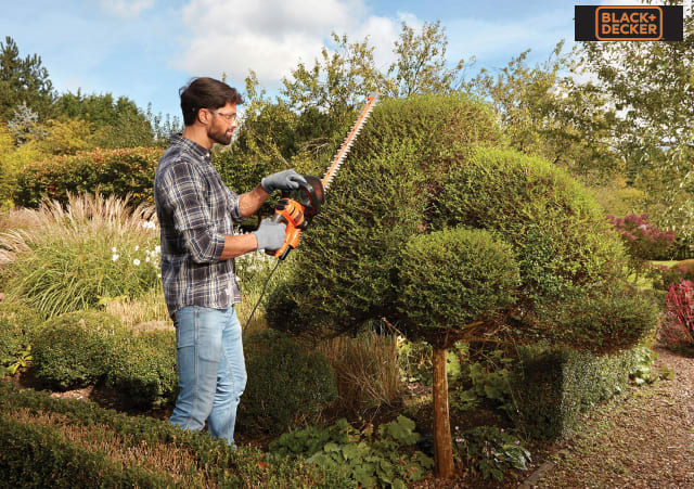 BLACK + DECKER BEHTS501 Hedge Trimmer 60cm 600W Dual Action Blades