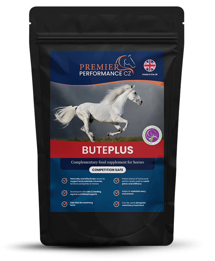 Premier Performance ButePlus Natural Joint Support Supplement for Horses