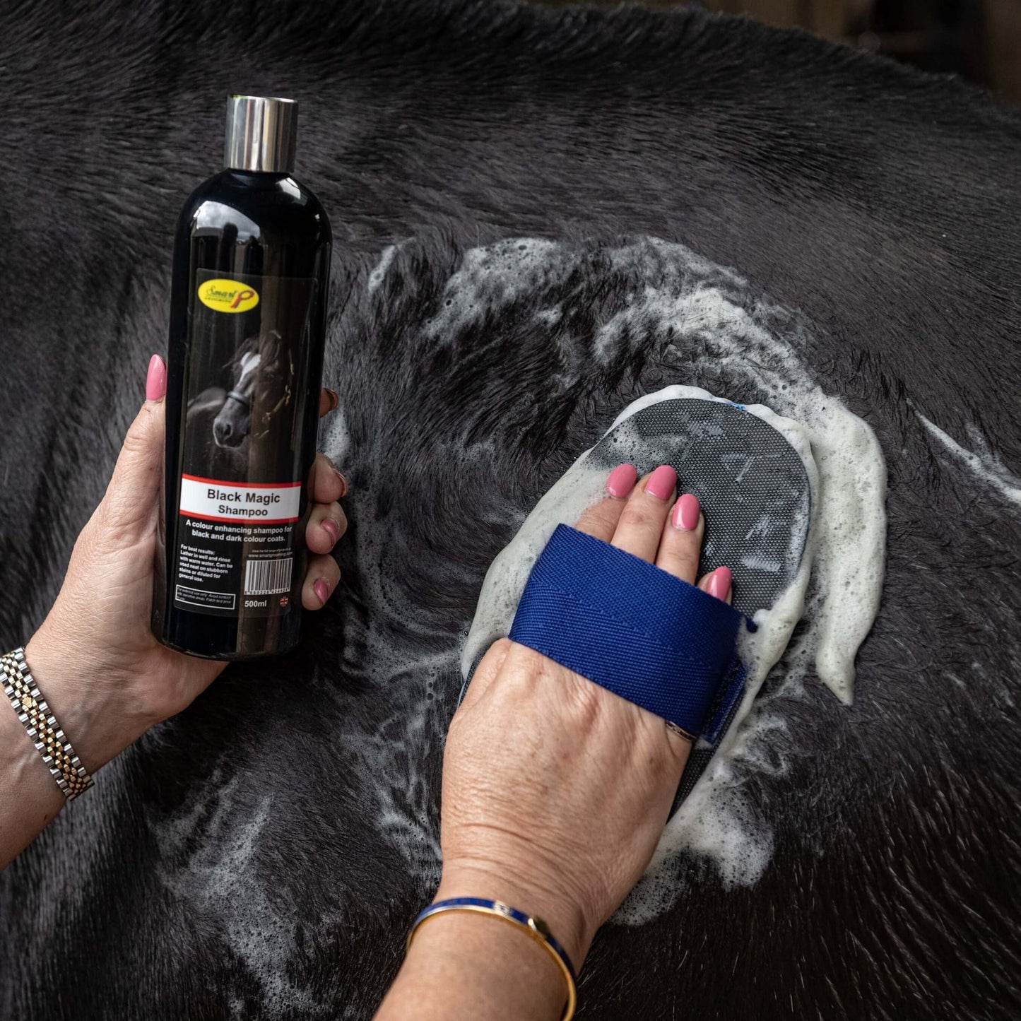 Smart Grooming Black Magic Shampoo For Horses Enhancing Shine