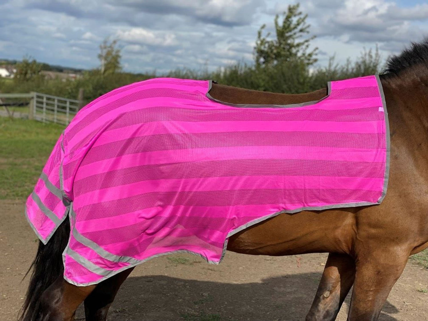 Firefoot Reflective Exercise Sheet #colour_pink