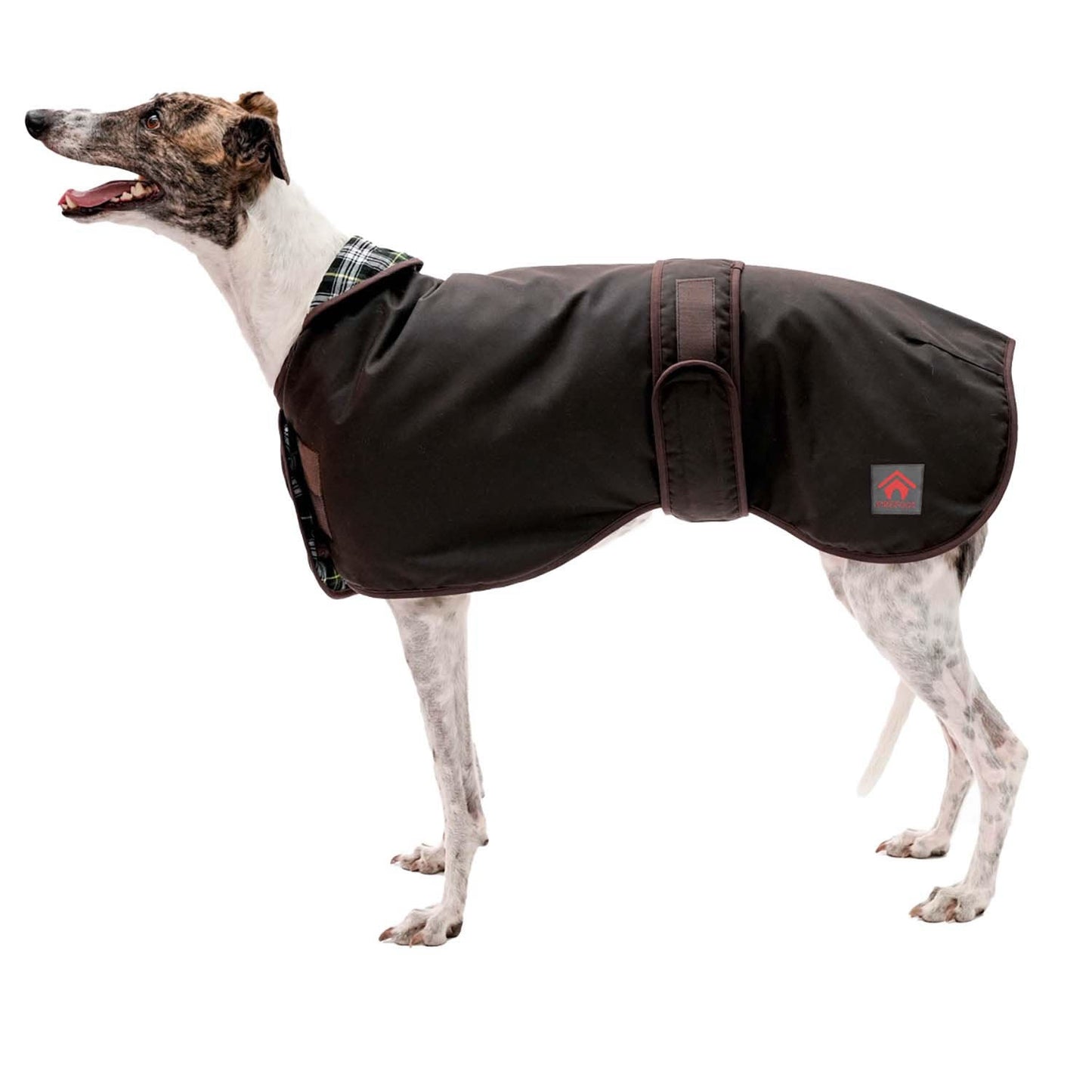 Firefoot Waxed Sighthound Coat Waterproof Stylish Dog Coat for Sighthounds