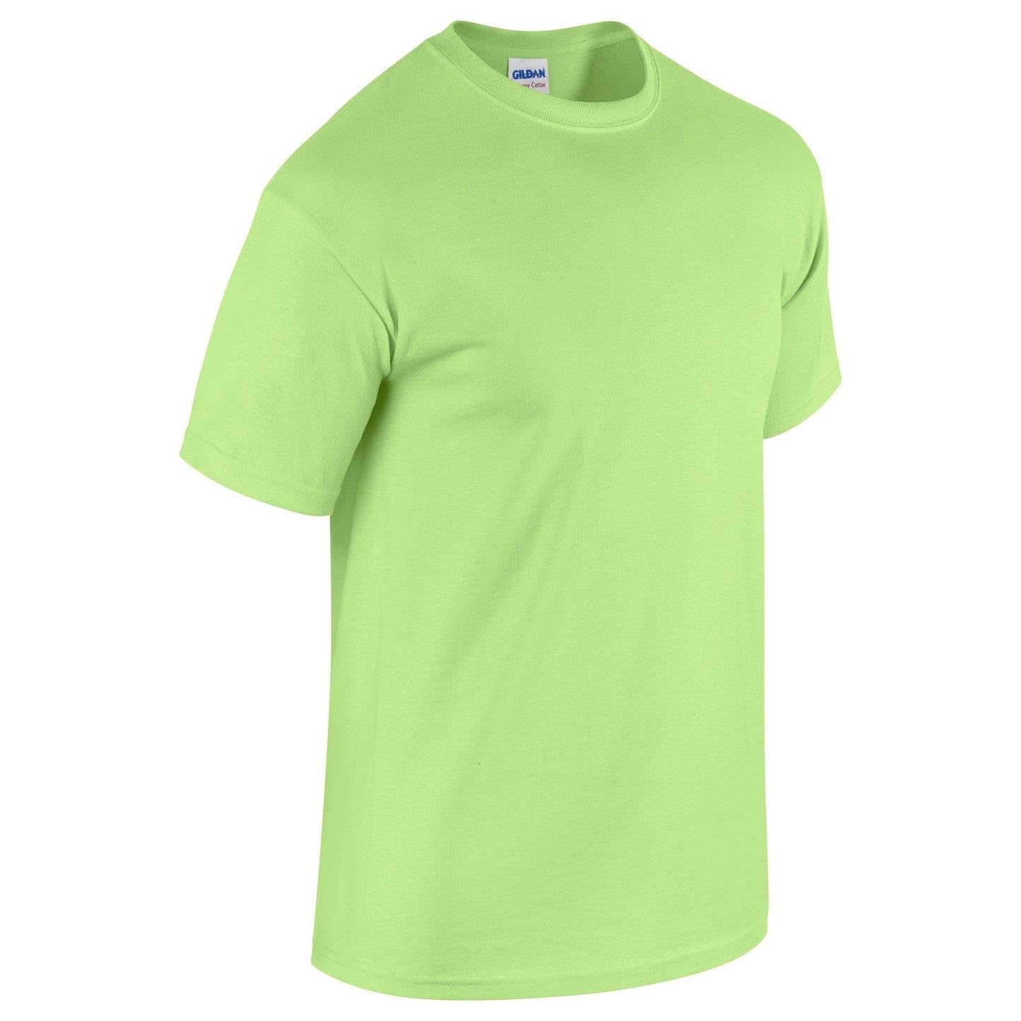 Gildan Heavy Cotton Adult T-Shirt Mint 100% Cotton Pre-Shrunk Soft Tee