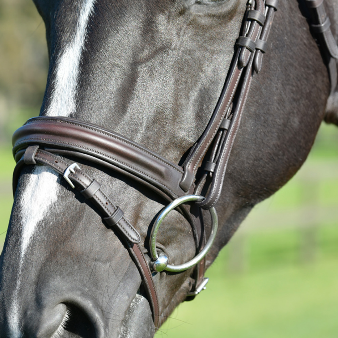 Collegiate Comfitec Opulux Plain Padded Hanoverian Flash Bridle #colour_dark-brown