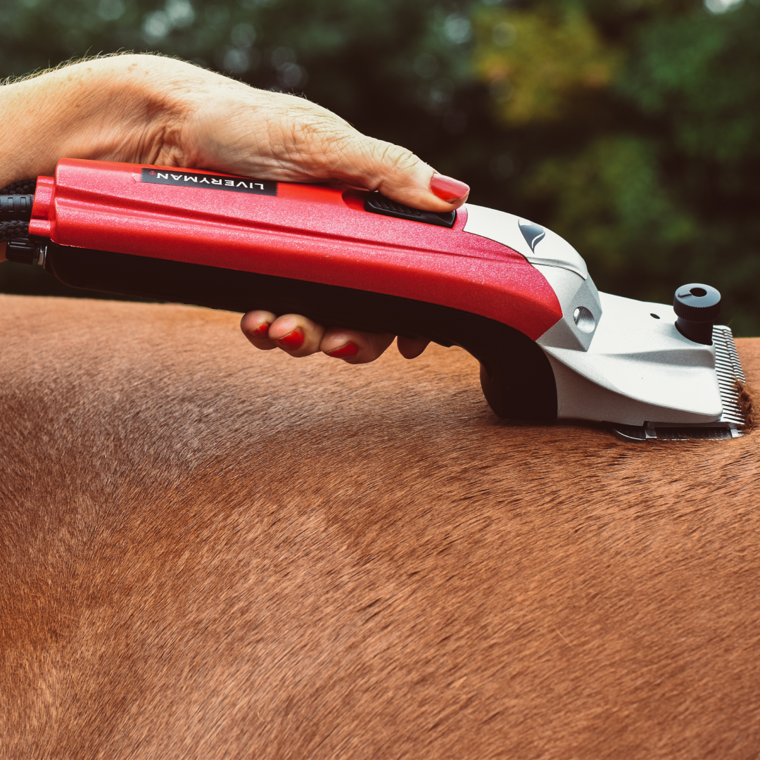 Liveryman Black Beauty Mains Horse Clippers Powerful Reliable Lightweight