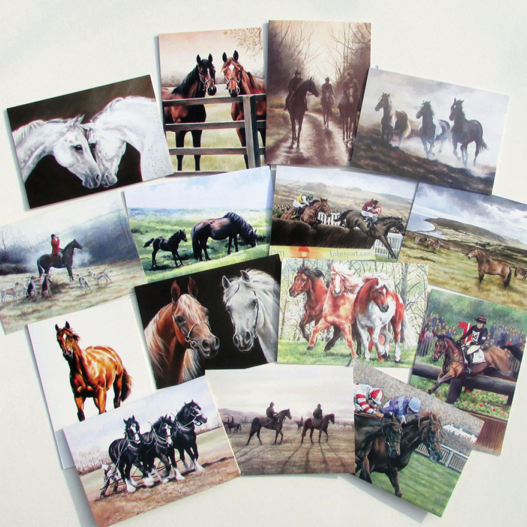 Caroline Cook Equestrian Cards Pack of 10 Individually Wrapped UK Made