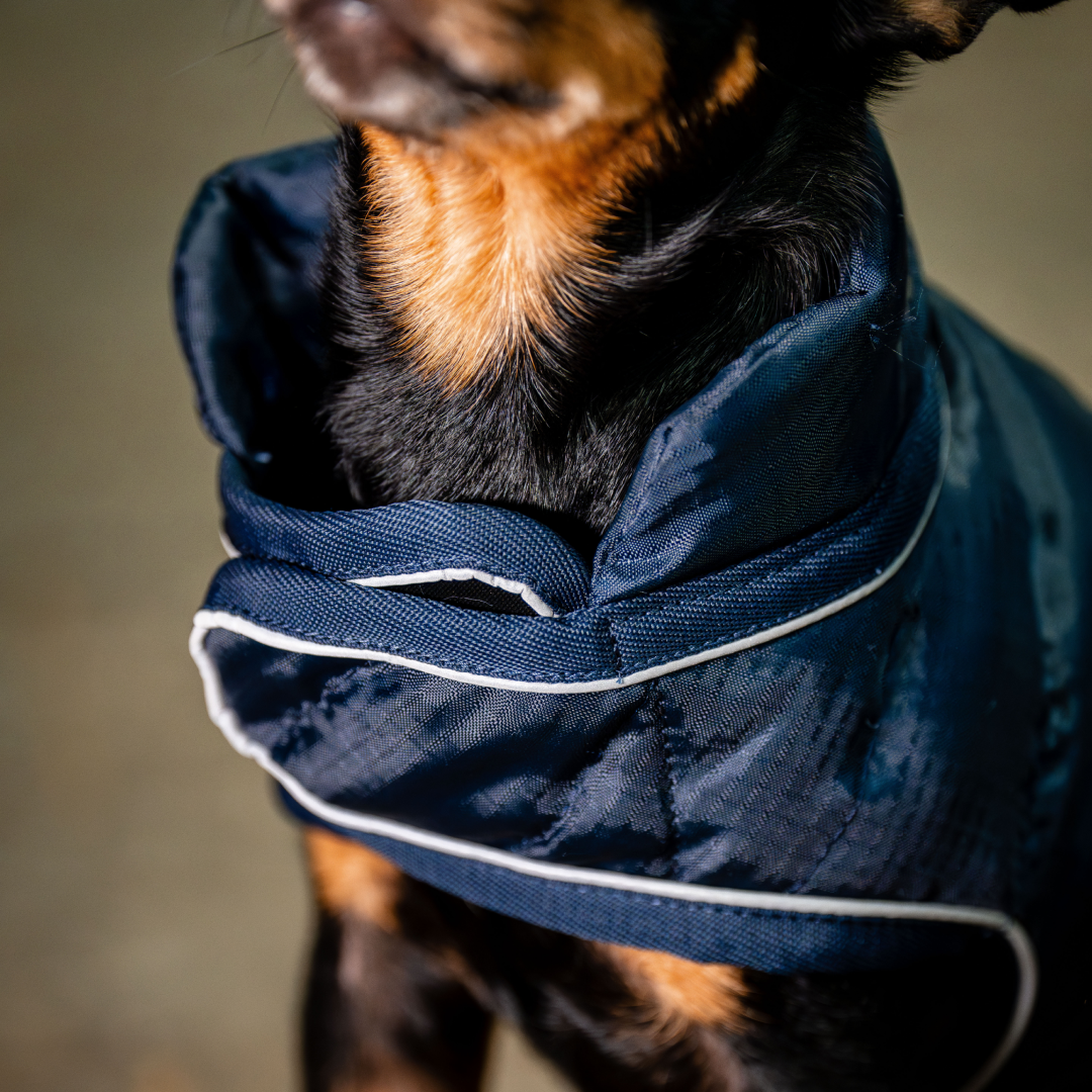 Horseware Ireland Signature Dog Rug Durable Warm Lightweight Reflective