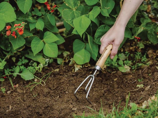 Kent & Stowe Stainless Steel Hand Cultivator 3-Prong FSC Ash Wood Handle