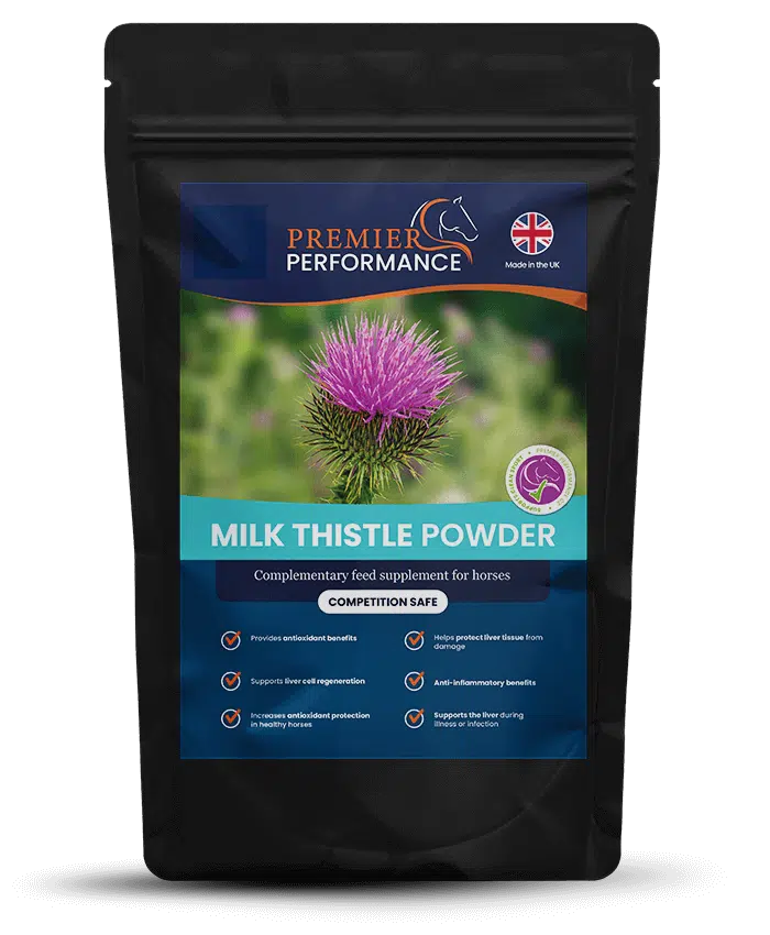 Premier Performance Milk Thistle for Healthy Liver Support in Horses