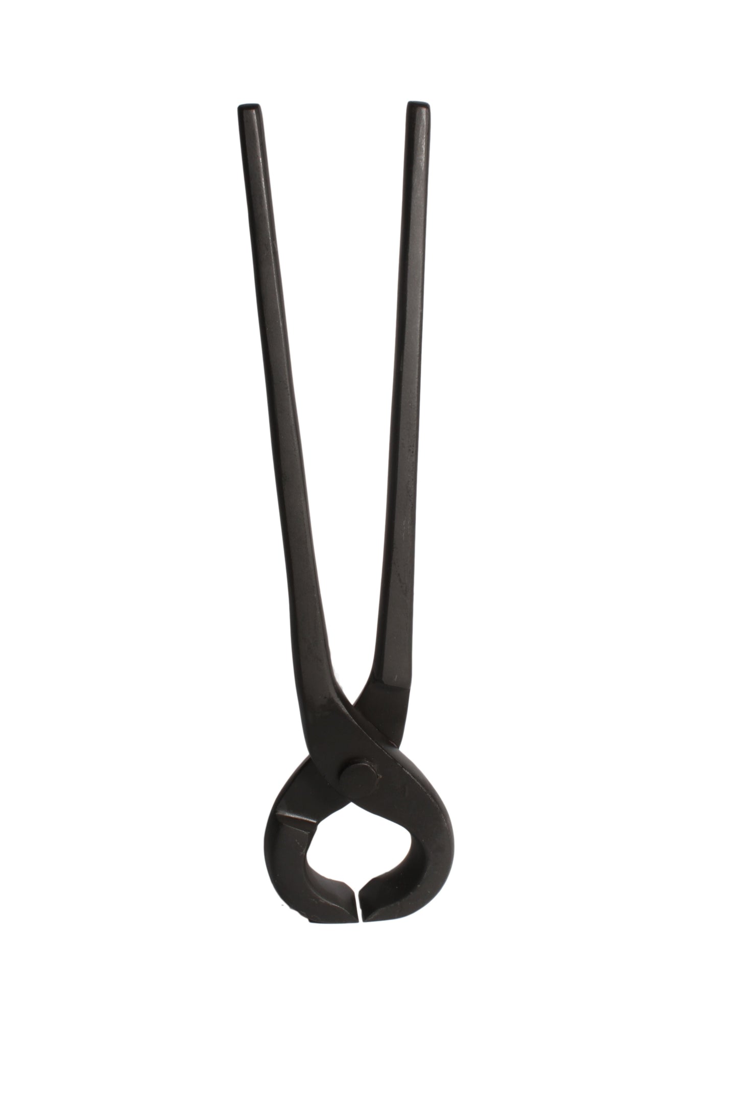 Noorvet Trsf Horse Farriers Type Hoof Cutter Durable Tool For Care