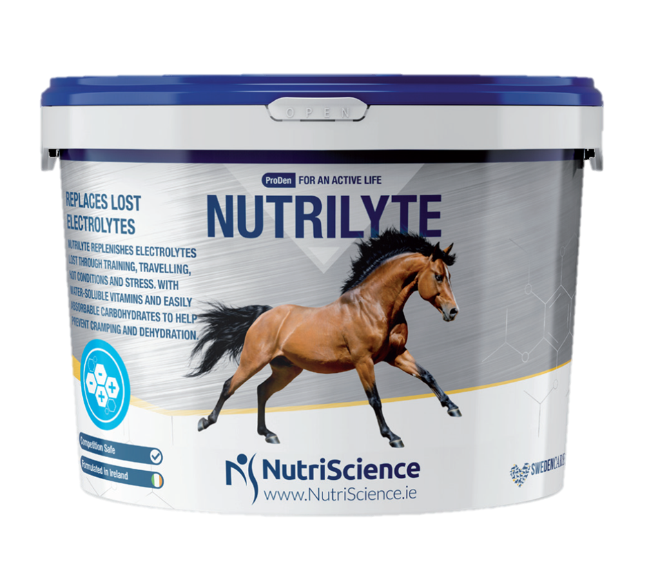 Nutriscience NutriLyte Equine Electrolyte Replacement Supplement for Horses