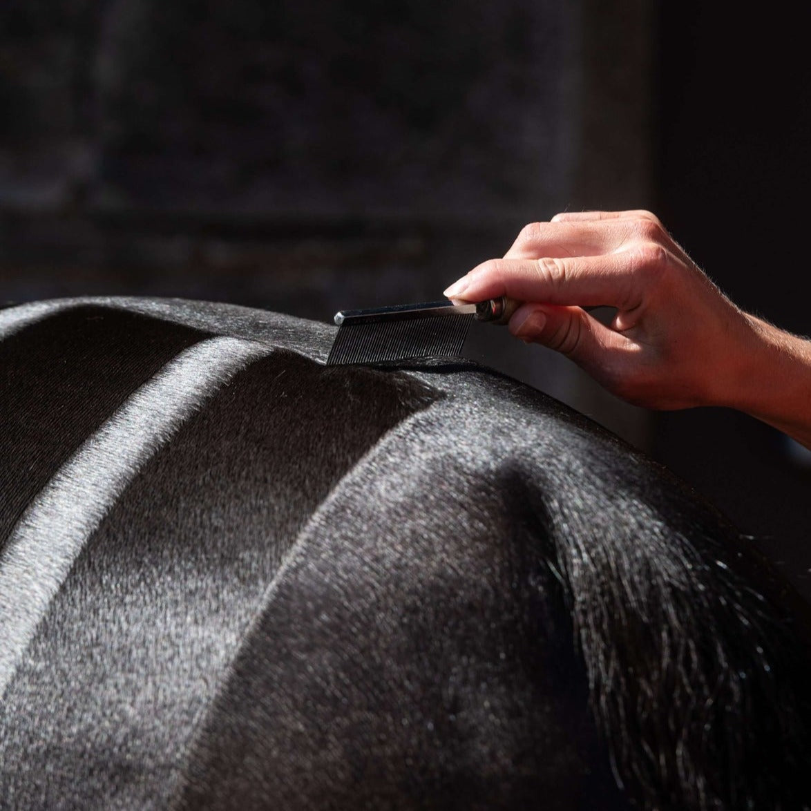 Smart Grooming Hunter Marker Comb for Exceptional Quarter Marks
