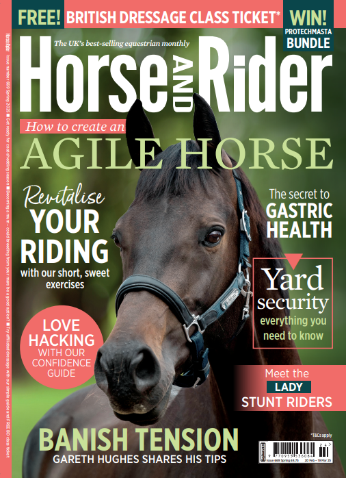Horse & Rider Magazine Spring Issue Groundwork Exercises For Horses
