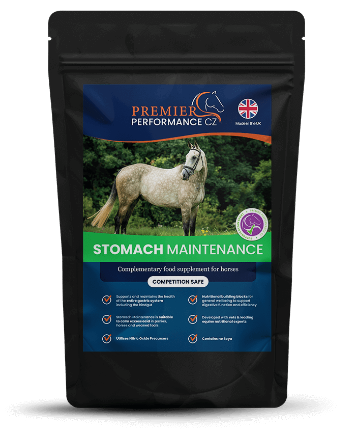 Premier Performance Stomach Maintenance Digestive Health Supplement for