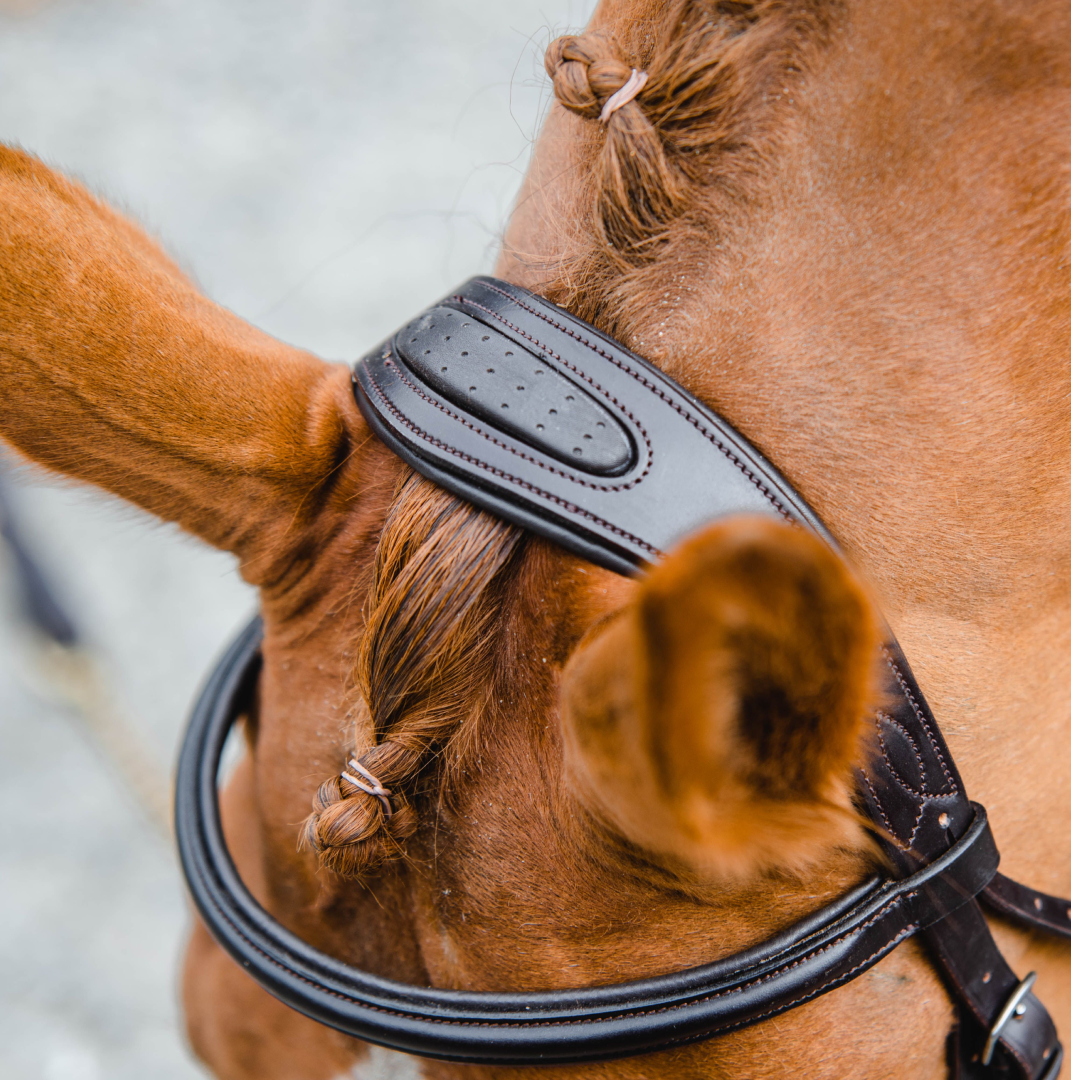 Mackey Horse Legend Athena Headpiece Ergonomic Design HighQuality Hide