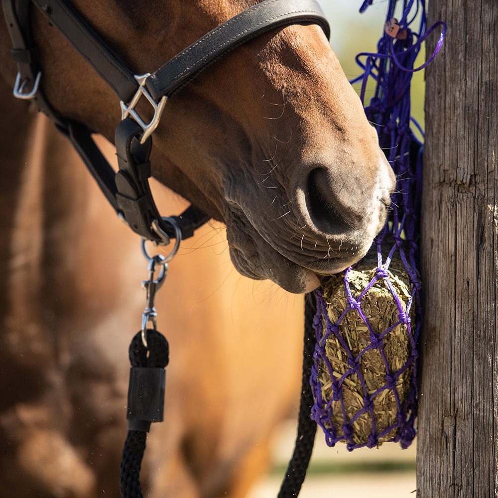 Equilibrium Litemunch High Fibre Low Sugar Horse Munch Block Treat