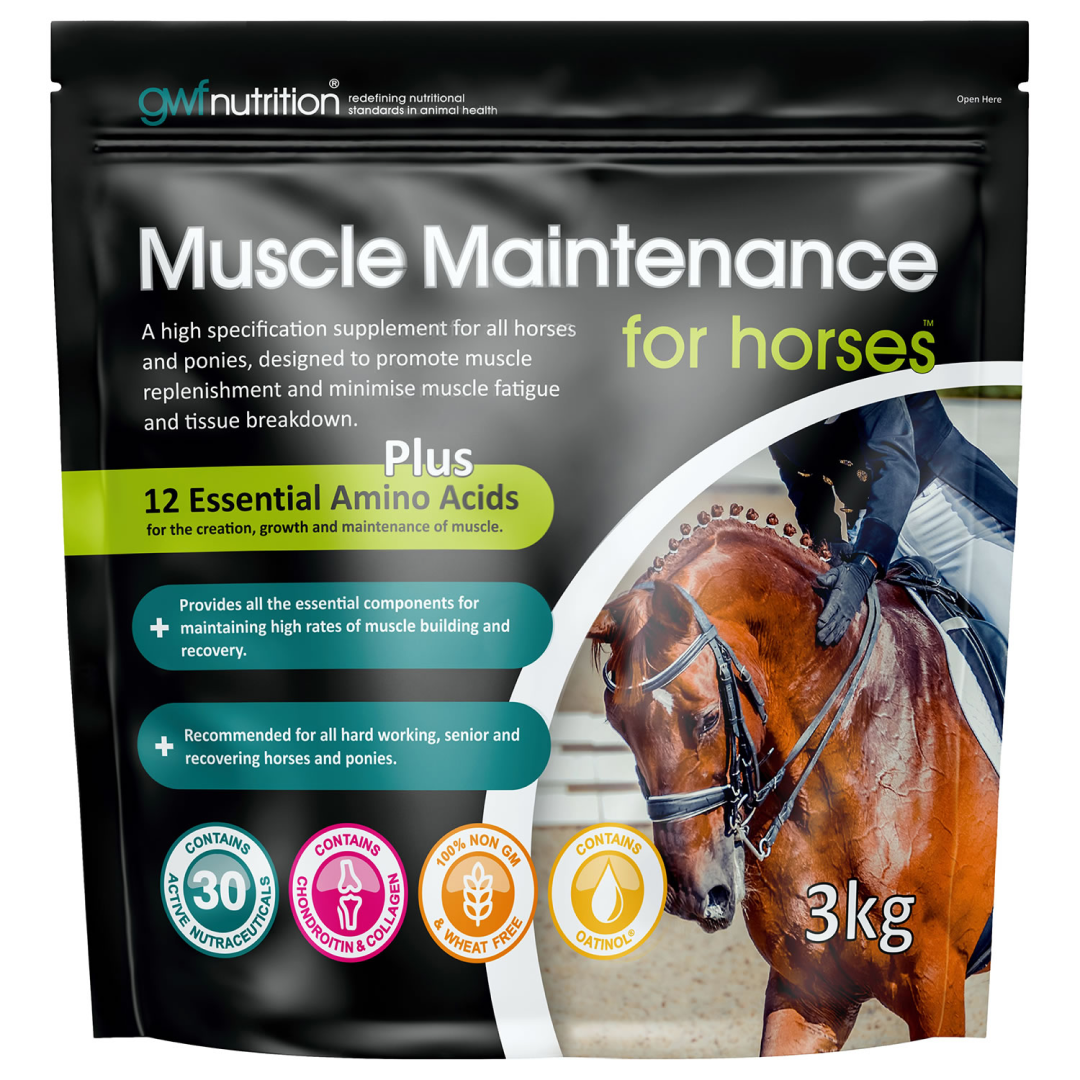 GWF Nutrition Muscle Maintenance For Horses Supplement and Ponies