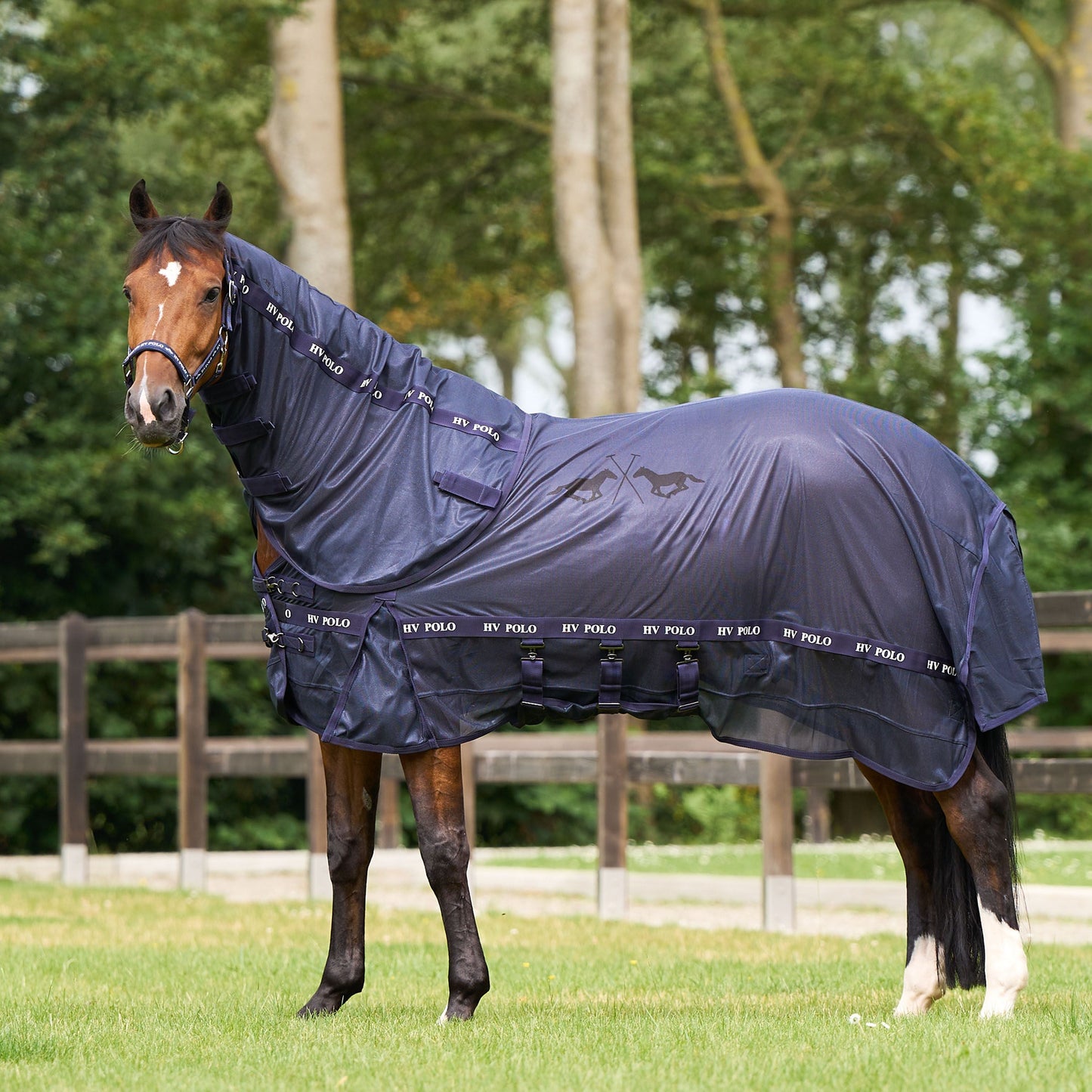 HV Polo Horse Nena Fly Blanket For Horses With Detachable Neck and Belly Flap