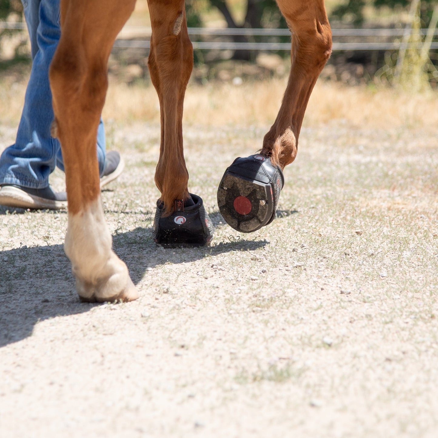 Cavallo Inc Horse Trek Pro Boot Hoof Durable Comfortable Protection Support