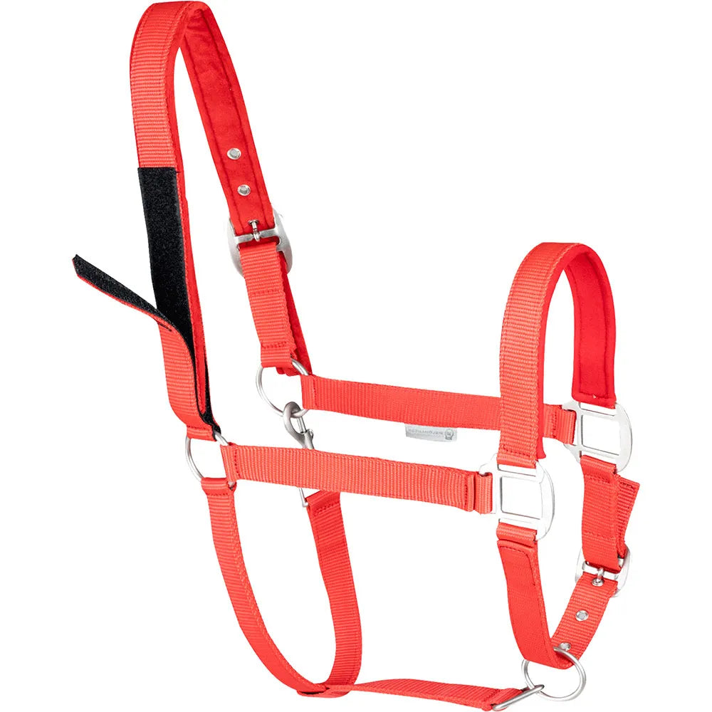 Waldhausen Horse Safety Halter with Advanced Touch Tape Fastener