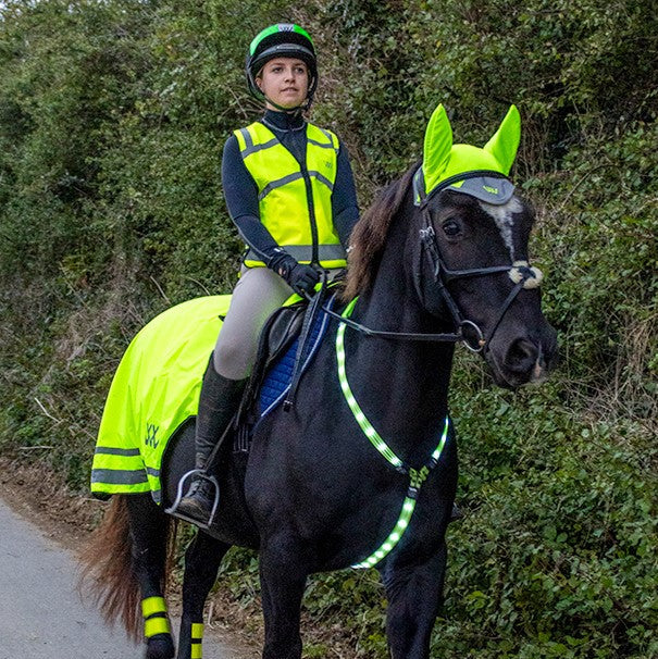 Woof Wear Horse LED Neck Band for Road Safety with Adjustable Straps