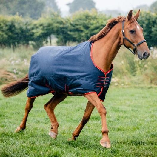 Equi-Sential Horse Standard 200g Medium Turnout Rug Boots EquiSential