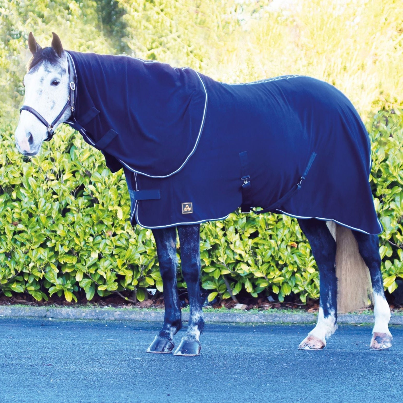Mackey Liffey Dry Rug #colour_navy
