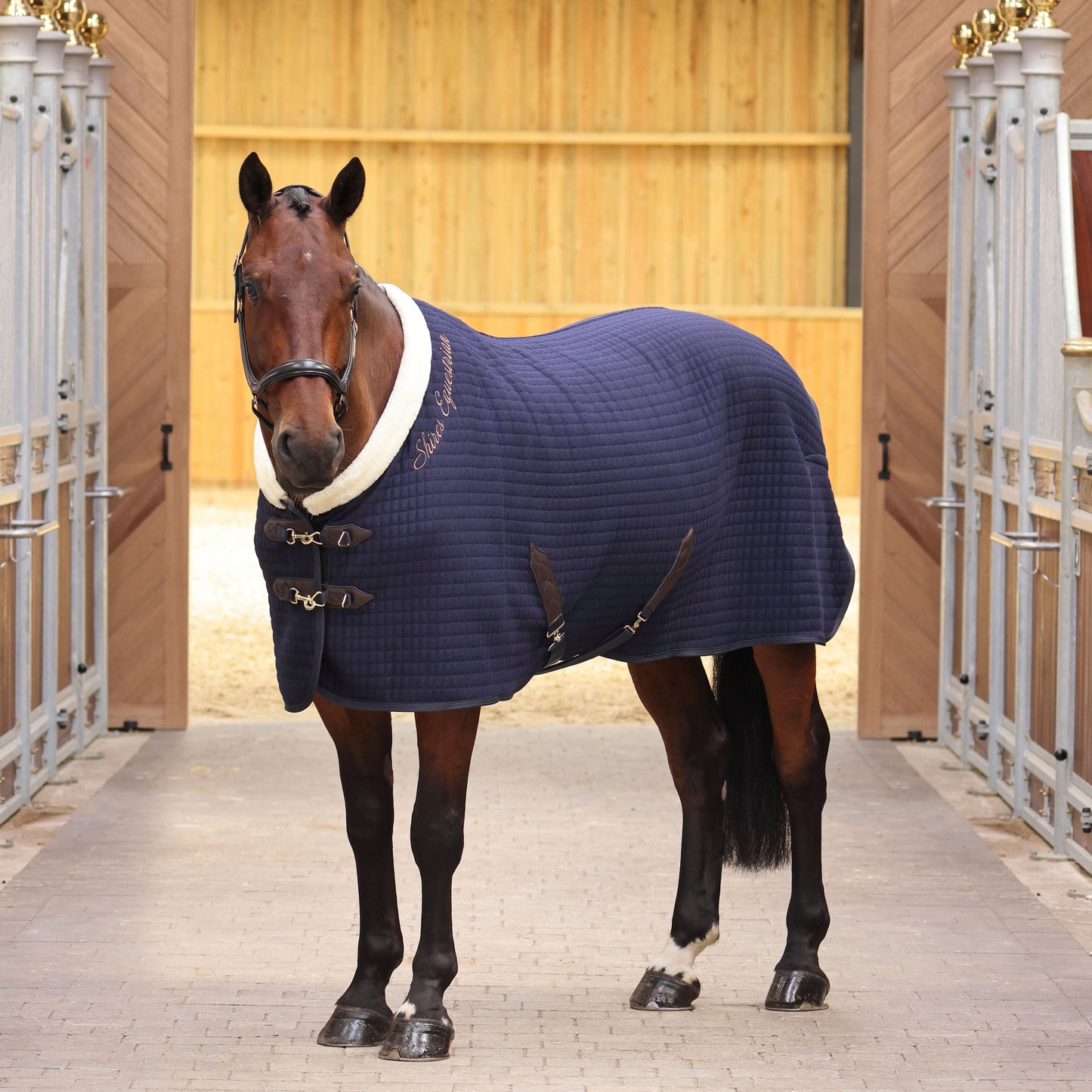 Shires Horse Deluxe Tech Cooler Rug For Horses Breathable and Insulating