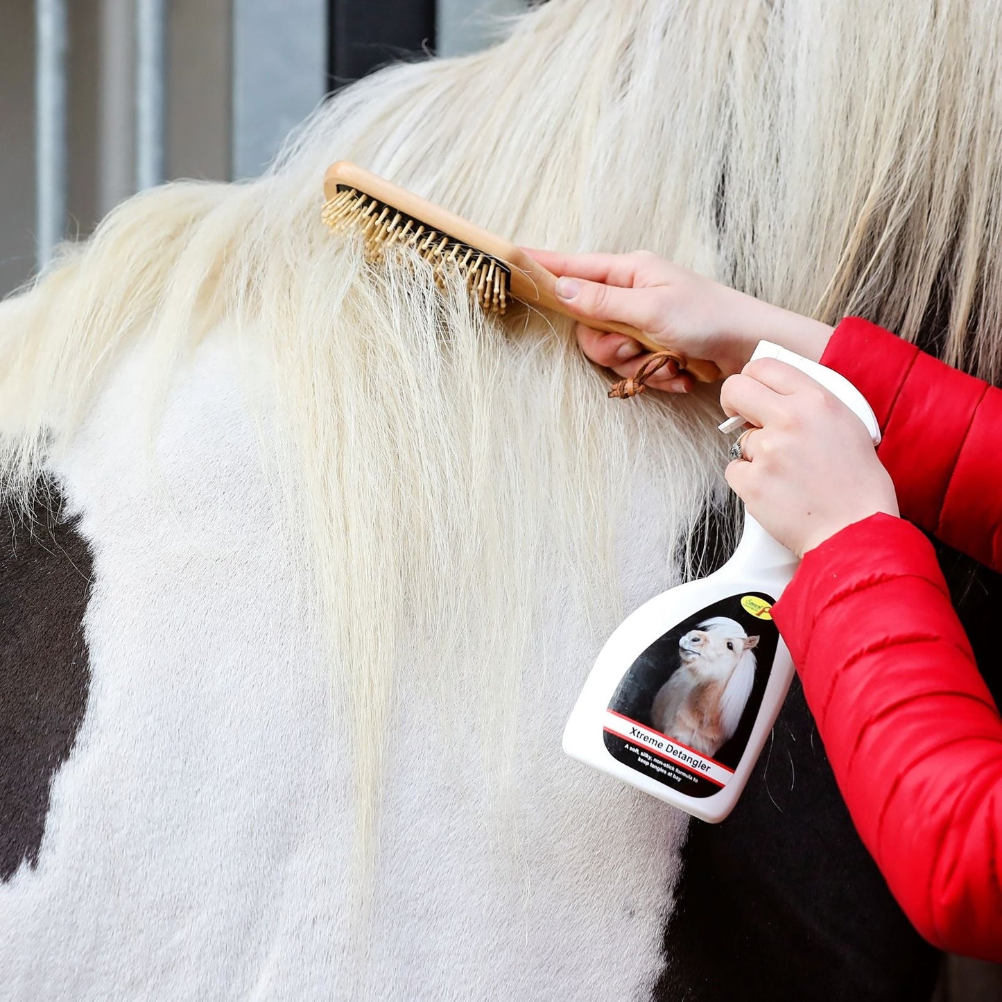 Smart Grooming Xtreme Detangler Advanced Formula for Mane Tails Feathers
