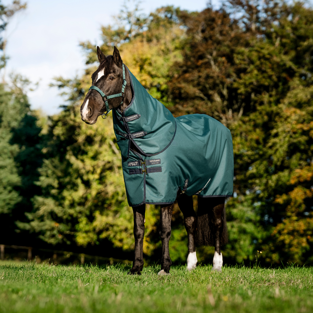 Horseware Ireland Amigo Ripstop 900D Plus 50g Pony Turnout Rug #colour_dynasty-green-navy-silver