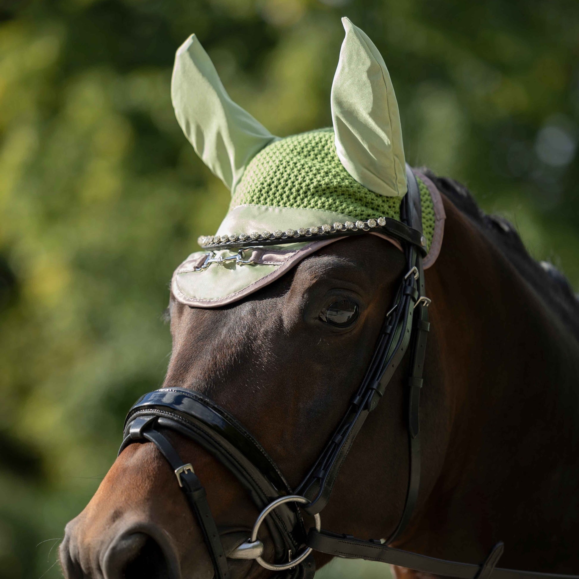 HKM Ear Bonnet -Golden Bit- #colour_jade-green