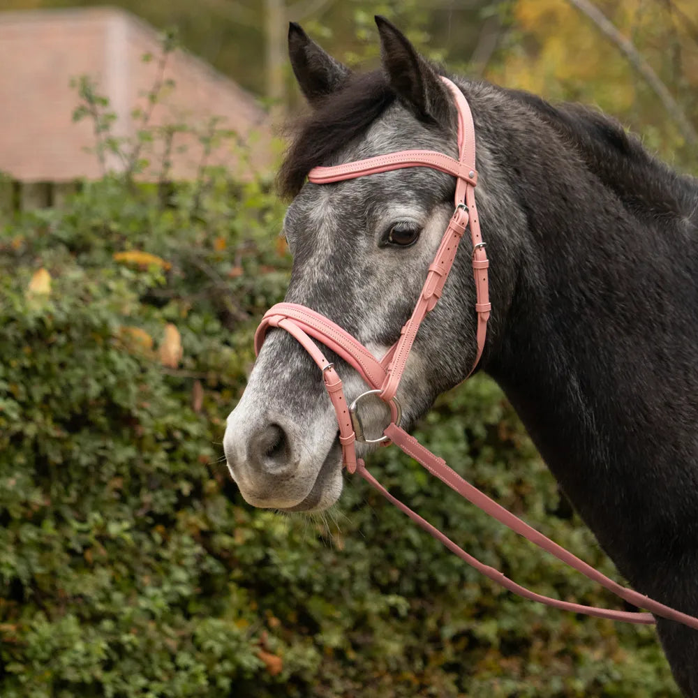 Serena Bridle by Little Rider #colour_pink