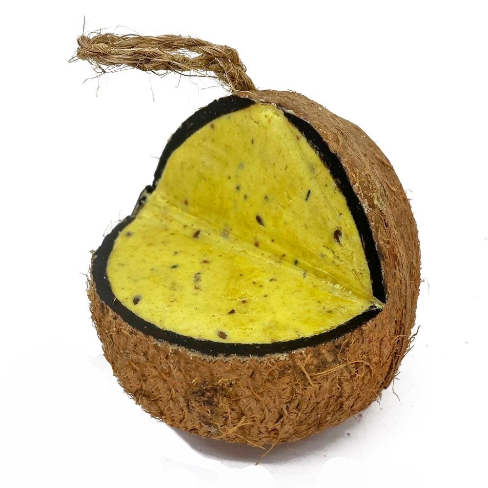 Natures Grub Coconut Feeder 100% Natural Suet Treat for Garden Birds