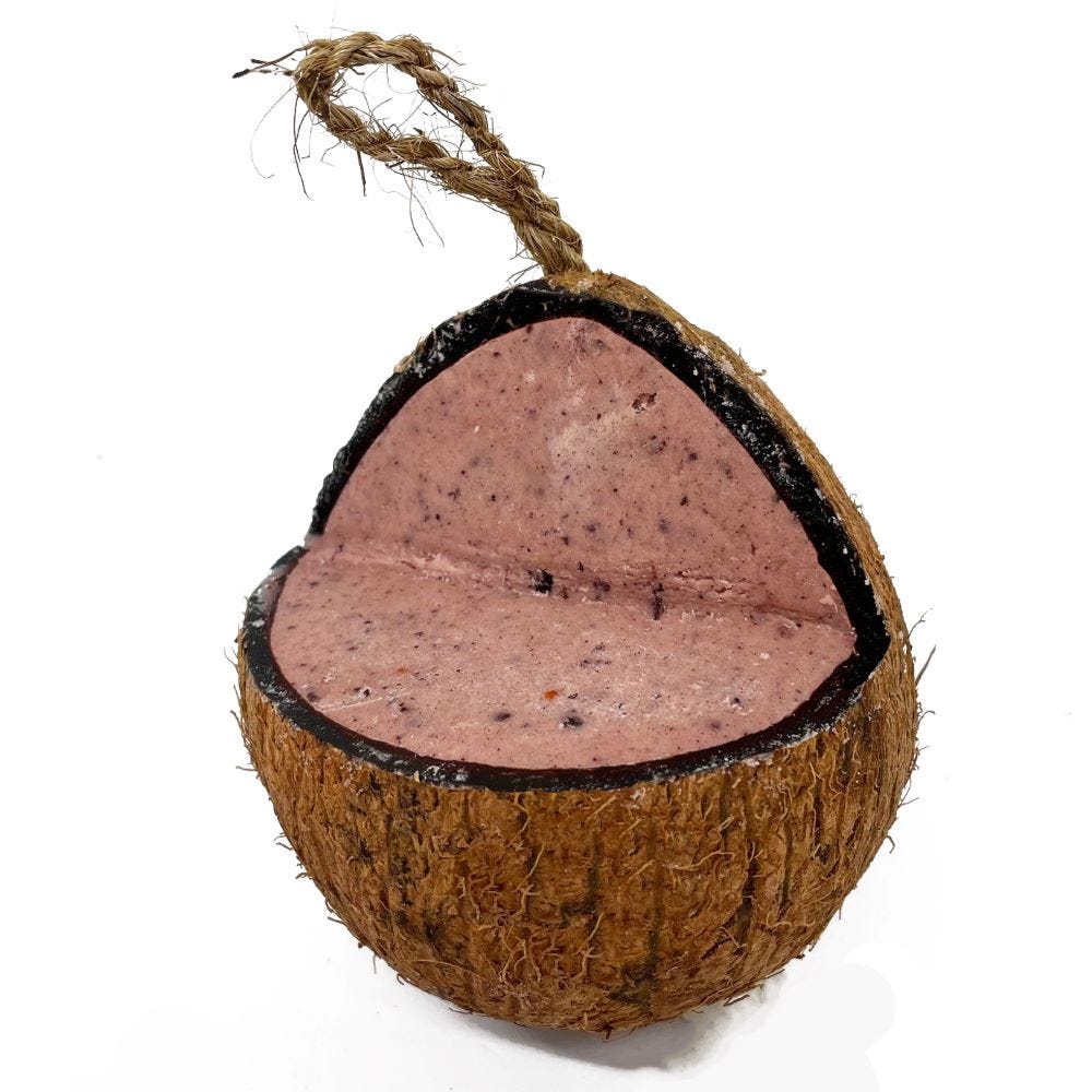 Natures Grub Coconut Feeder 100% Natural Suet Treat for Garden Birds